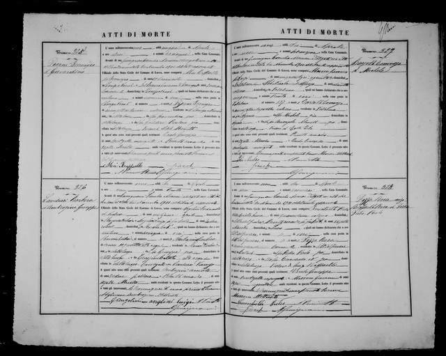 Lucca_Morti_1901_FS_DGS7125583_img1190.jpg